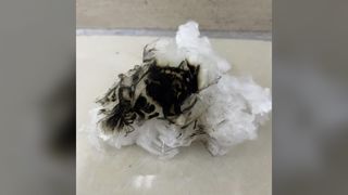 Biologisch abbaubares, schwer entflammbares Lyocell-Stapelgewebe, 1,33 D x 38 mm, gleichmäßig geschnittene Fasern zum Spinnen und Nonwo