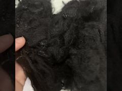 2,5D*64mm native recycelte 2D-Hohlfaser