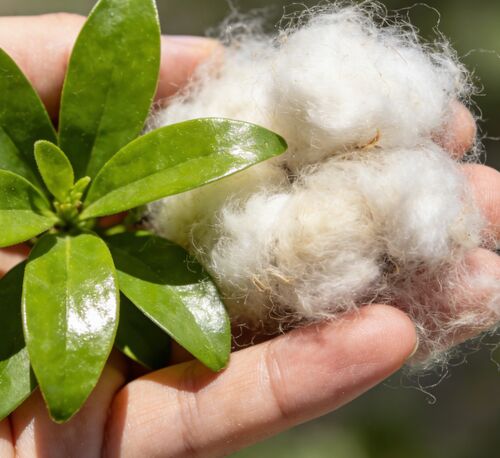 Neueste Unternehmensnachrichten über Schwarz-weiße Hohlfasern: Die erste Wahl für die Textil- und Industrieproduktion