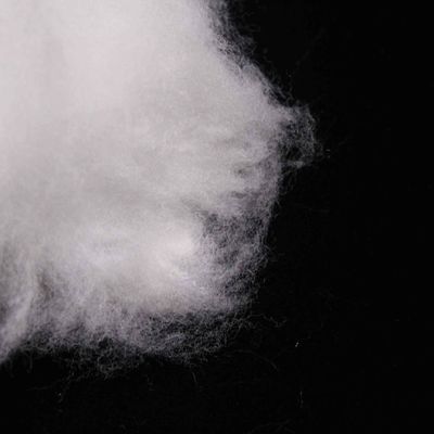 Ein guter Preis. Propylen Seite an Seite Kunststoffleichtes Polyester-Stapelfasern für Gesichtsmasken Online