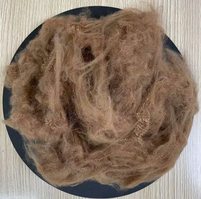 Ein guter Preis. Recyceltes Polyester aus Stapelfasern 2,5D 51mm Kaffee Online