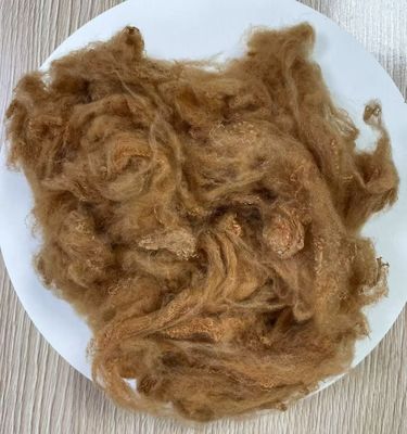 Ein guter Preis. Recycelte Polyester-Stapelfasern 2,5D 51mm Gelbkamel Online