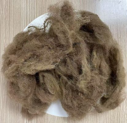 Ein guter Preis. Gering dehnbares recyceltes Polyester-Stapelfaser 25D 65mm Tiefkamelfarbe Online