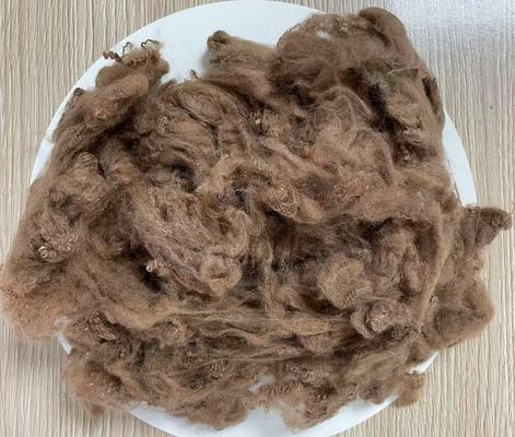 Ein guter Preis. Recycelte Polyester-Stapelfaser 2.5D 51mm Gelb Kaffee Hohe Knitterfestigkeit Online