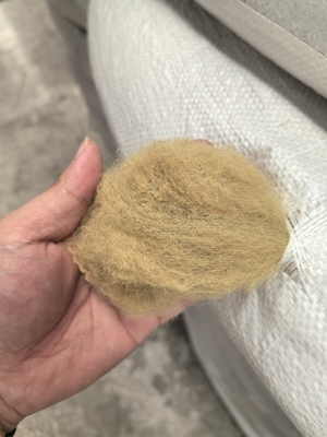 Ein guter Preis. Recycelte Polyester-Stapelfasern 6D 51mm Beige mit geringer Verlängerung Online