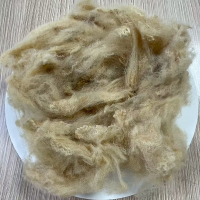 Ein guter Preis. 6D Recycled Polyester Staple Fiber 51mm Beige High Tenacity Online